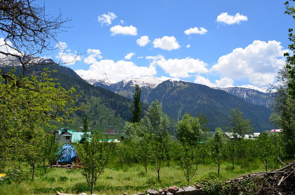 Gezellig Inn - Tree Hill Cottages & Kanyal Villas Manali  Luaran gambar